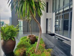 St. Thomas Walk (D9), Apartment #507624011